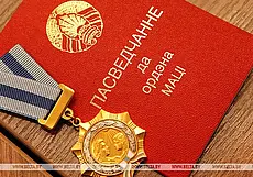 Многодетные жительницы Могилева и района награждены орденом Матери