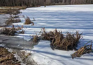 Порывистый ветер и гололедица: вот какой будет погода в Могилеве 3 марта