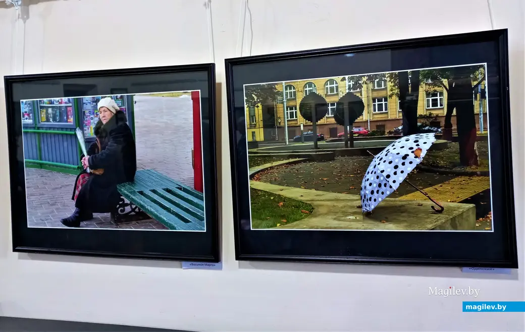 Открытие фотовыставки Светланы Маркович «Фотоаппарат – мой друг». Могилев, клуб «Радуга», 02.03.2023 г.