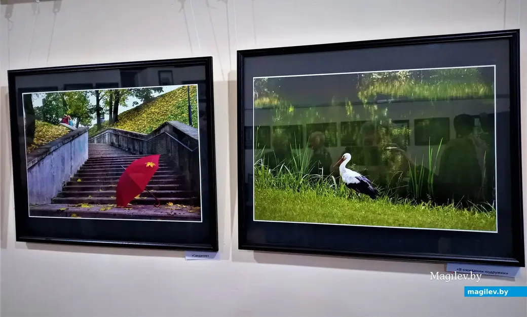 Открытие фотовыставки Светланы Маркович «Фотоаппарат – мой друг». Могилев, клуб «Радуга», 02.03.2023 г.