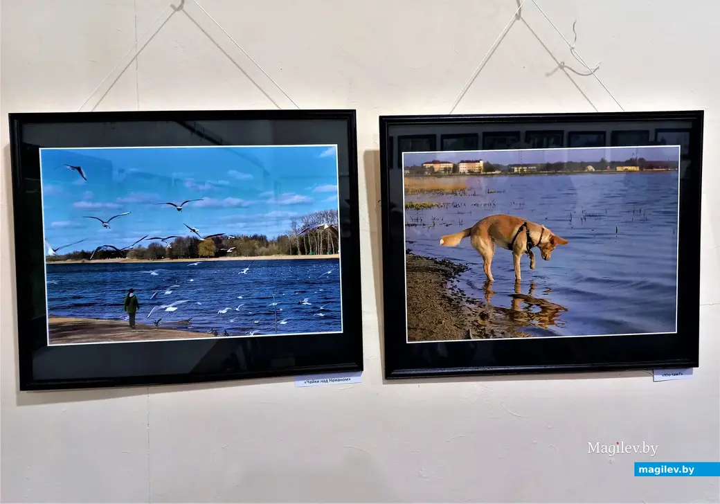 Открытие фотовыставки Светланы Маркович «Фотоаппарат – мой друг». Могилев, клуб «Радуга», 02.03.2023 г.