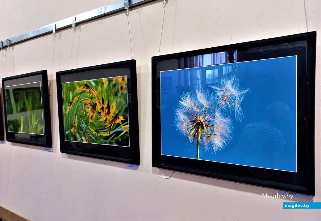 Открытие фотовыставки Светланы Маркович «Фотоаппарат – мой друг». Могилев, клуб «Радуга», 02.03.2023 г.