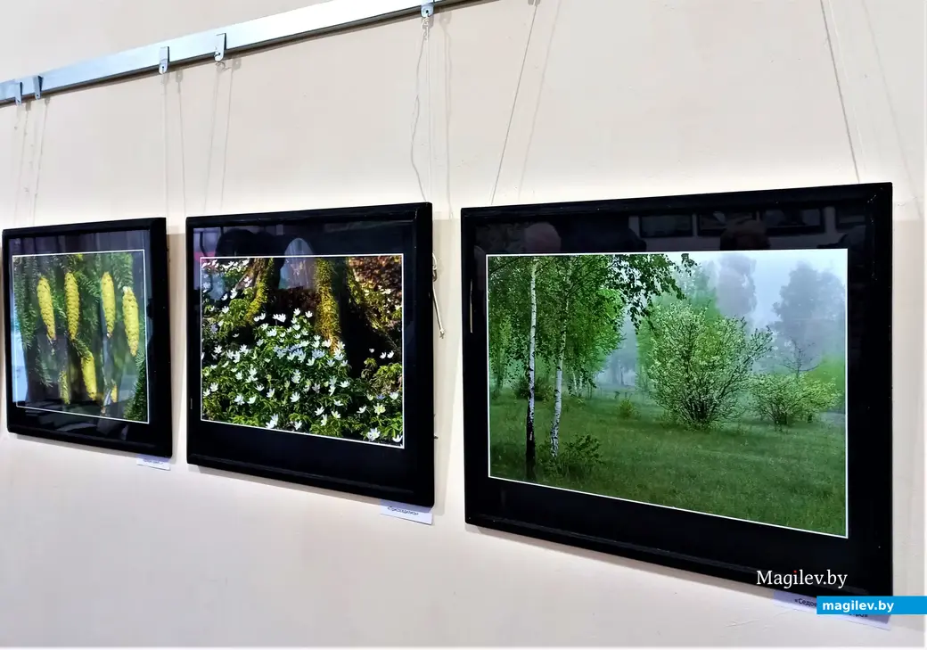 Открытие фотовыставки Светланы Маркович «Фотоаппарат – мой друг». Могилев, клуб «Радуга», 02.03.2023 г.