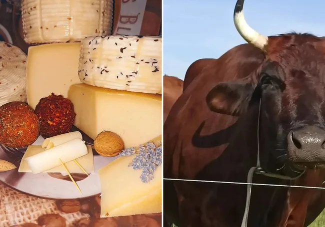 Как жительница Могилевщины уехала из благоустроенного дома на хутор и делает элитные сыры