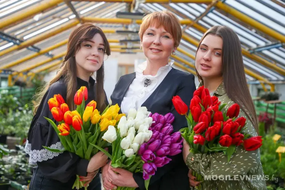 В теплицах «Могилевзеленстроя». Фото: mogulevnews.by