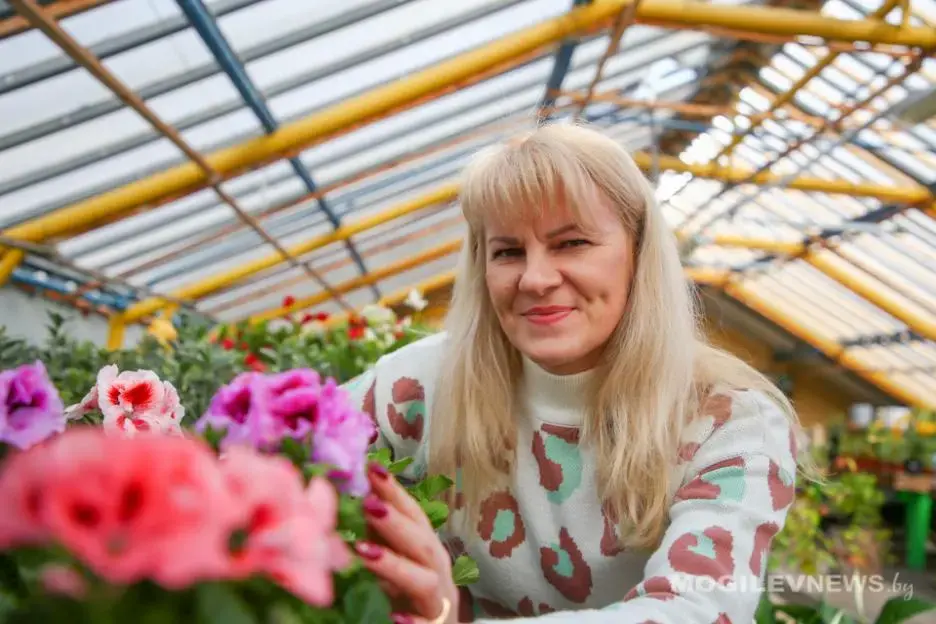 В теплицах «Могилевзеленстроя». Фото: mogulevnews.by