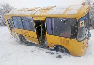 В Быховском районе школьный автобус вылетел в кювет