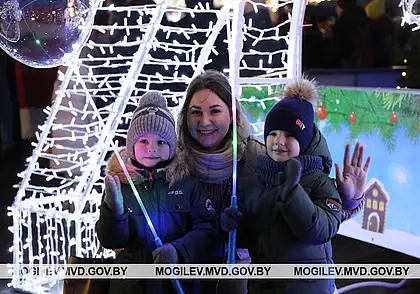 МВД: В Могилеве общественный порядок в новогоднюю ночь был обеспечен