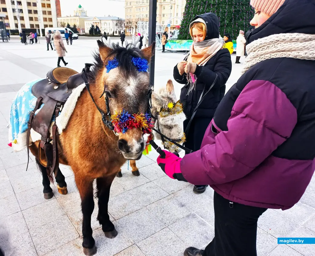 «Песня года в Могилеве», площадь Единства, 02.01.2024 г.
