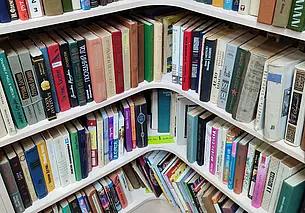 Коэльо – три рубля, «Математика» – почти 200. Что и почем продается в могилевском «Букинисте»?