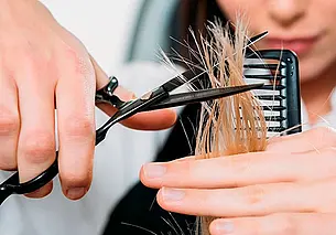 Могилевчане, есть проблемы со сферой торговли и услуг? Обращайтесь в общественную приемную