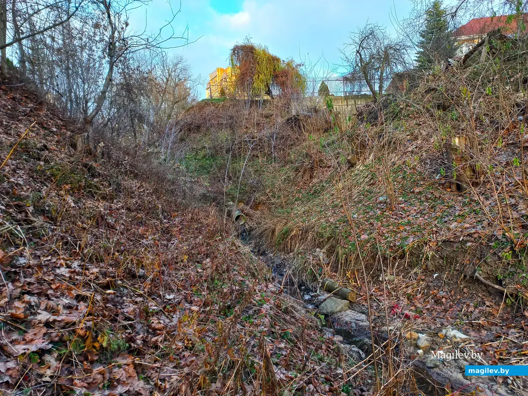 Левая Дубровенка, Безымянный овраг. Могилев, 21.11.2923 г.