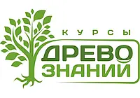 4.Курсы Древо знаний в Могилеве