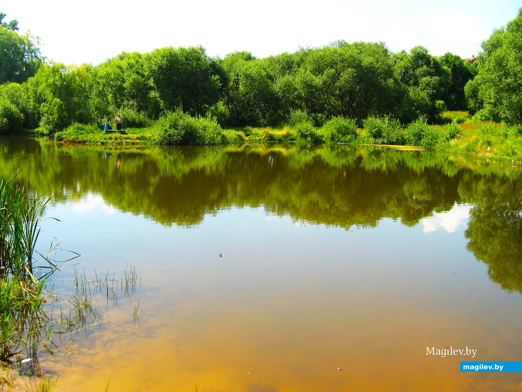 Конка и ее «чистые» воды. Бобруйск, 2006 г.