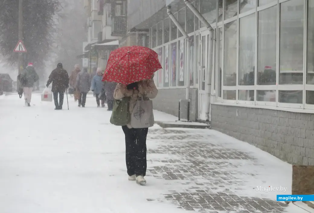 23.11.2023 г. В Могилев пришла зима.