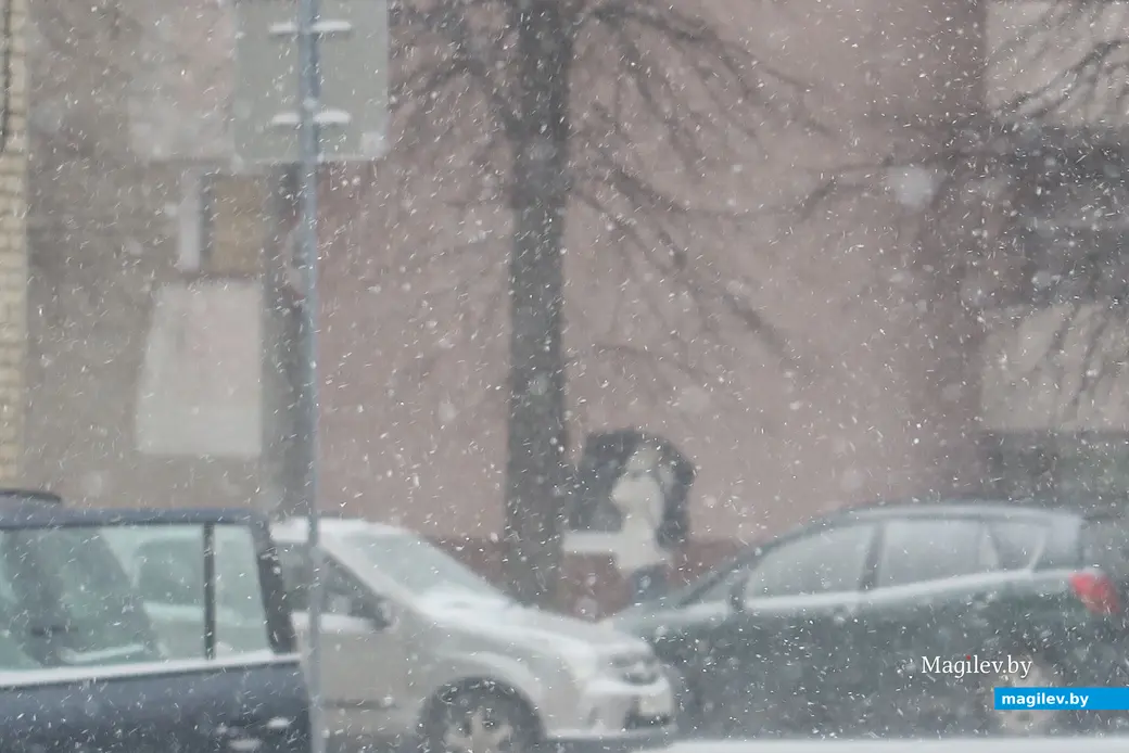 23.11.2023 г. В Могилев пришла зима.