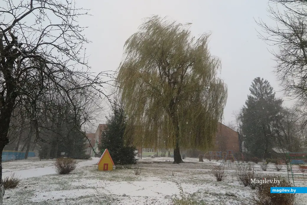 23.11.2023 г. В Могилев пришла зима.