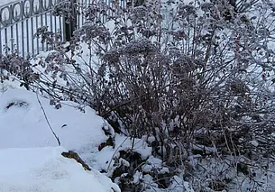 Облачно и с морозцем: прогноз погоды на 25-27 ноября