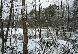 Ждать ли морозов на старый Новый год? Прогноз погоды с 8 по 14 января