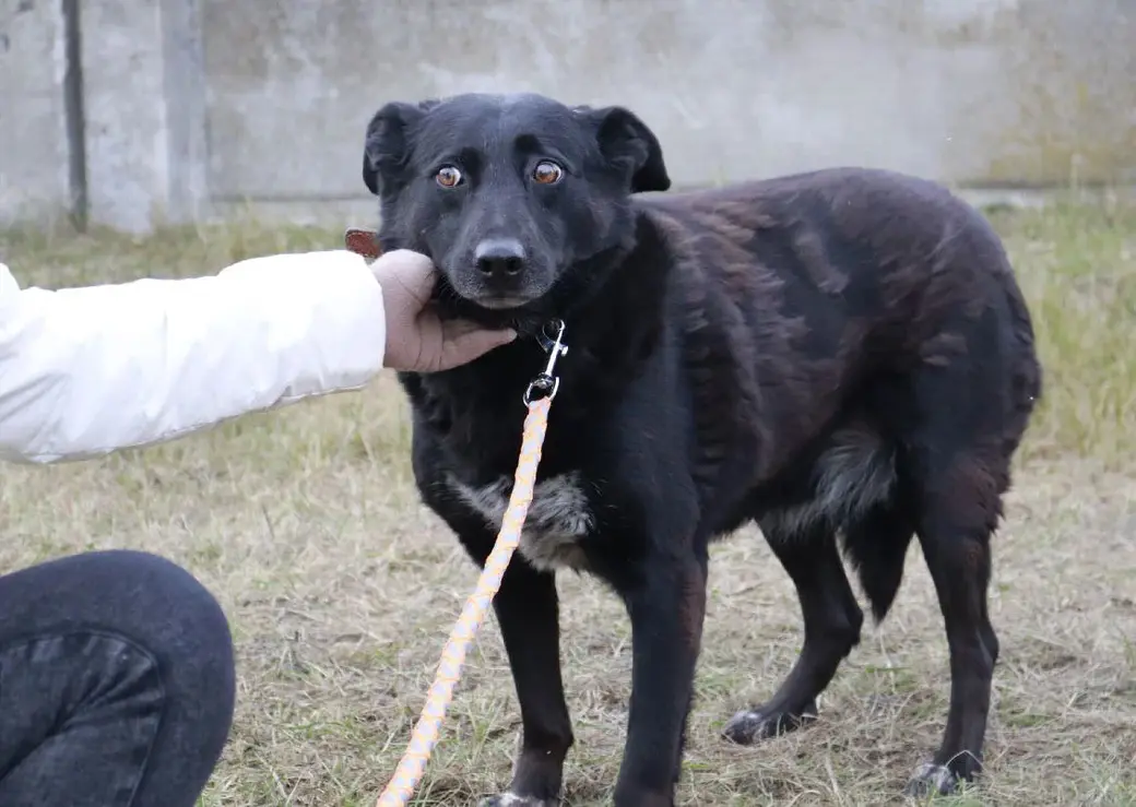 Красавица Рина.