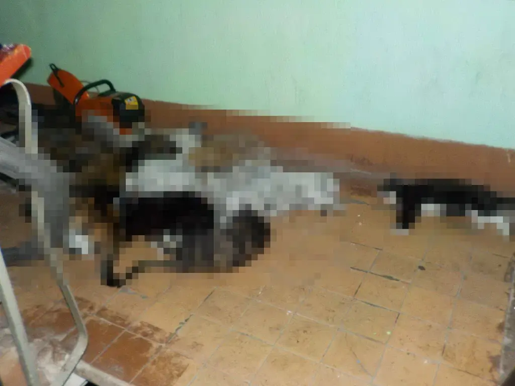 29 ноября 2023 года. Пожар в квартире по проспекту Строителей в Бобруйске. Фото: МЧС.