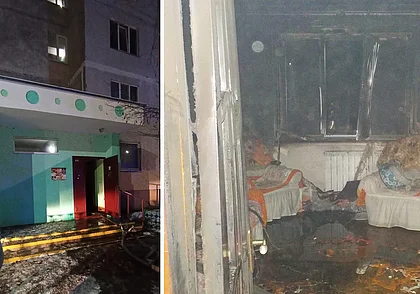 Пенсионерка и 18 ее котов погибли на пожаре в Бобруйске