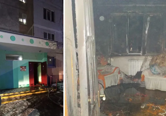 Пенсионерка и 18 ее котов погибли на пожаре в Бобруйске