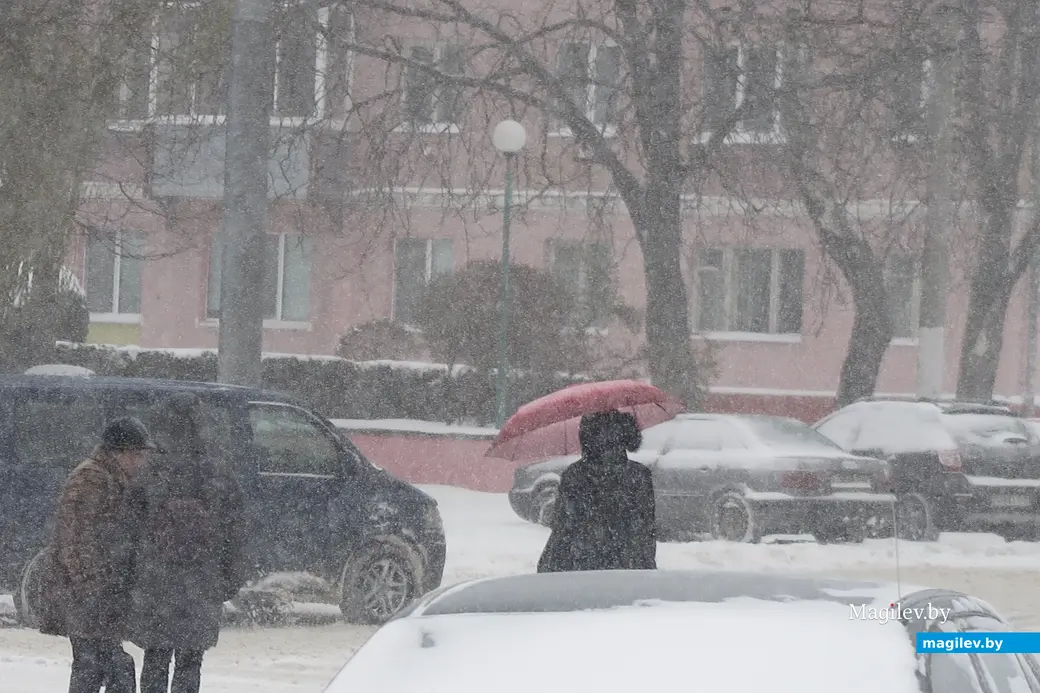 29 ноября 2023 г. Могилев снова заметает снегом!