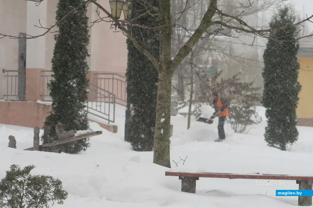29 ноября 2023 г. Могилев снова заметает снегом!