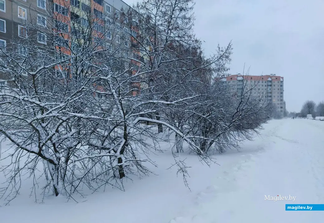 Могилев после вьюги. 30 ноября 2023 года.
