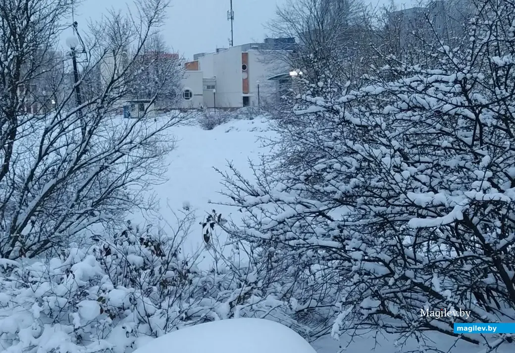 Могилев после вьюги. 30 ноября 2023 года.