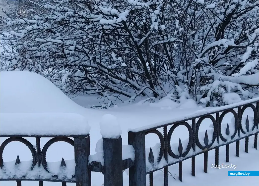 Могилев после вьюги. 30 ноября 2023 года.