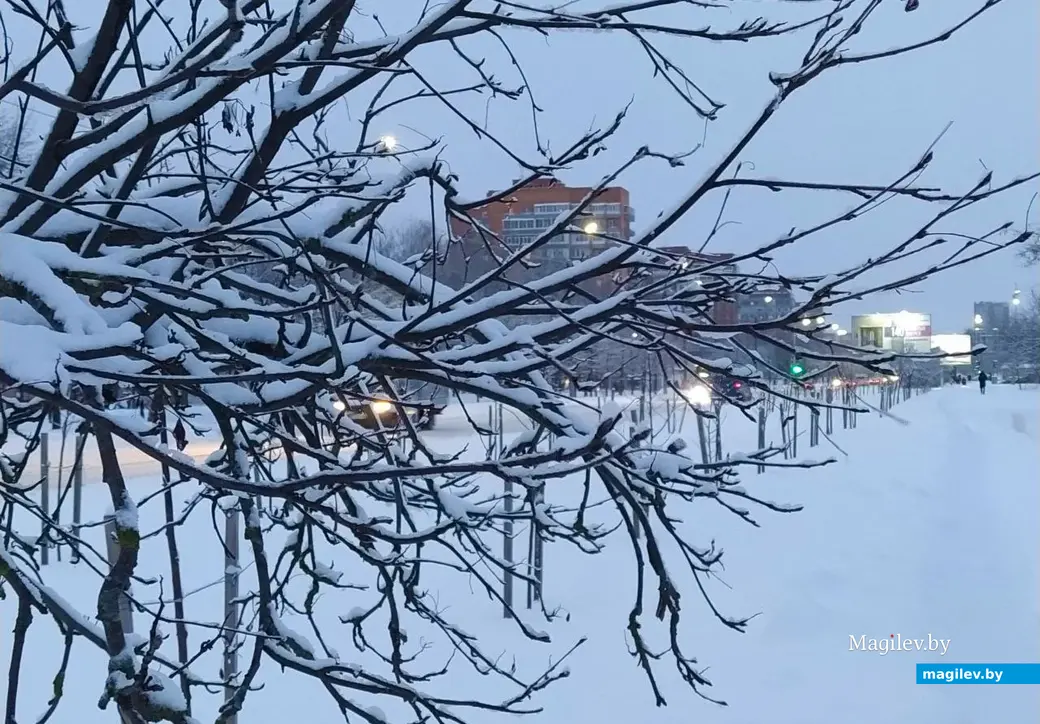 Могилев после вьюги. 30 ноября 2023 года.