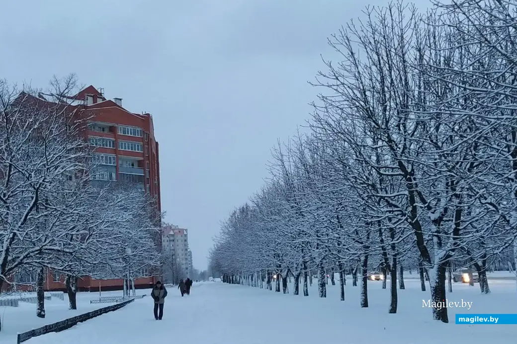 Могилев после вьюги. 30 ноября 2023 года.