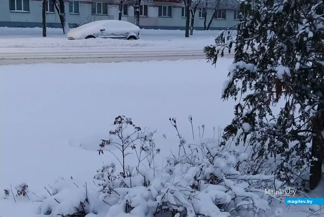 Могилев после вьюги. 30 ноября 2023 года.