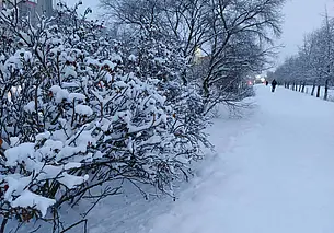 В субботу – без осадков, в воскресенье – слабая метель: прогноз погоды на 2-4 декабря