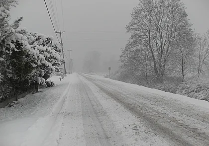 На неопределенный срок: из Могилева в Славгород отменены почти все маршрутки