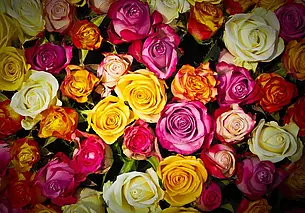 «На первое свидание привез 53 розы». Как могилевчанка в 50+ знакомится в интернете