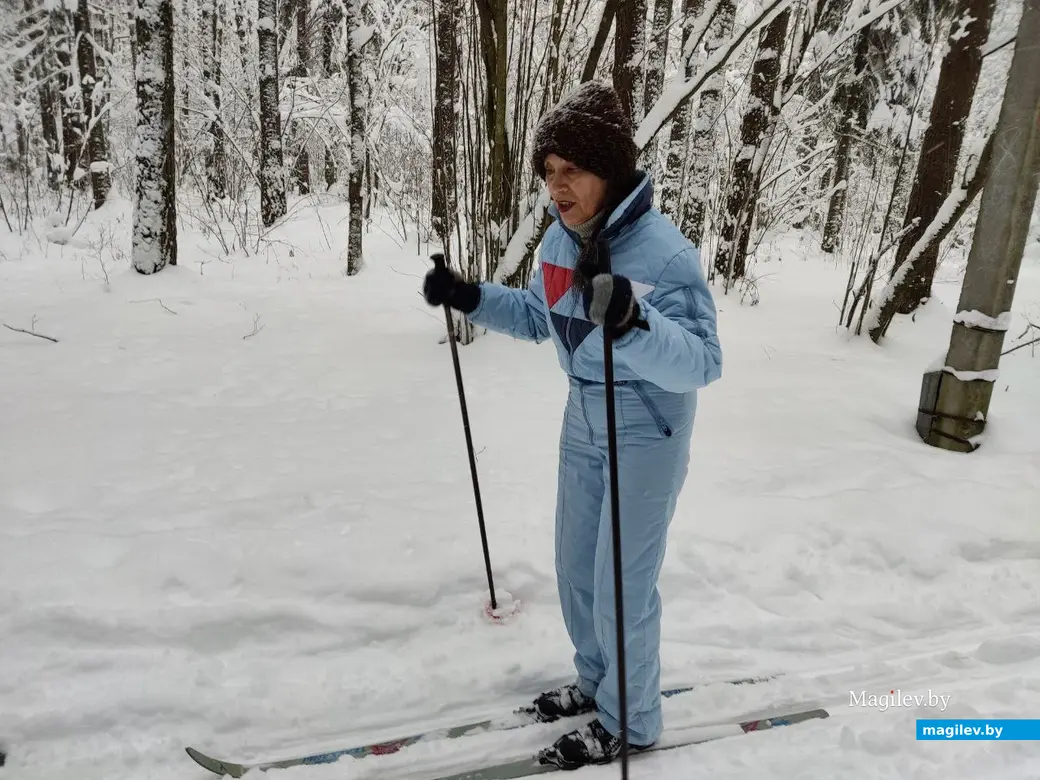 Любужский лесопарк, Могилев, 3.12.2023 г.
