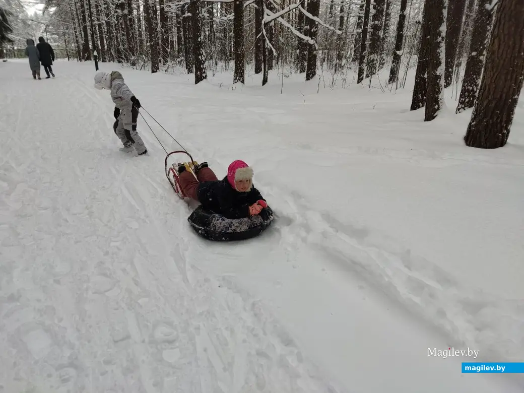 Любужский лесопарк, Могилев, 3.12.2023 г.
