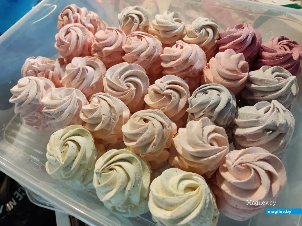 Могилев, ТЦ Е-Сити, фермерский маркет «Свая ежа», 3.12.2023 г.