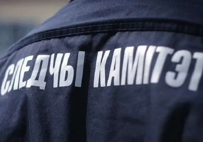 В Осиповичах задержали гендиректора строительной организации, который оказался перевозчиком наркотиков
