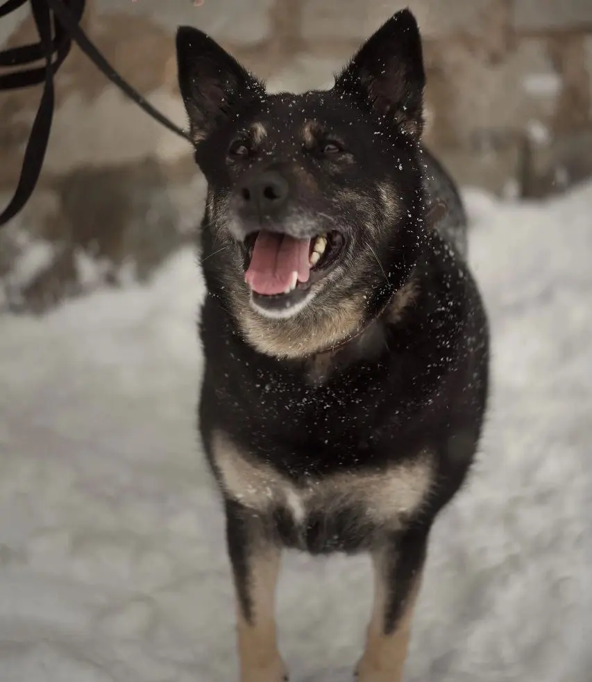 Шикарная Джули.