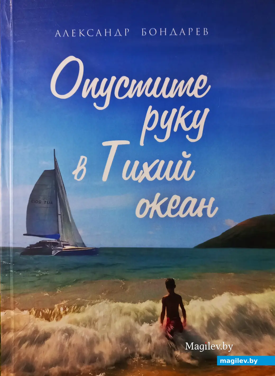Одна из книг Александра Бондарева.