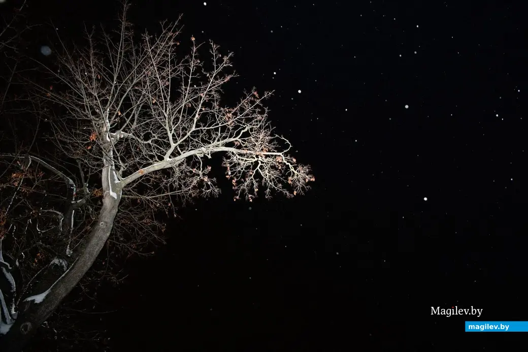 Декабрь 2023 г. Могилев. Вечерняя снежная сказка.