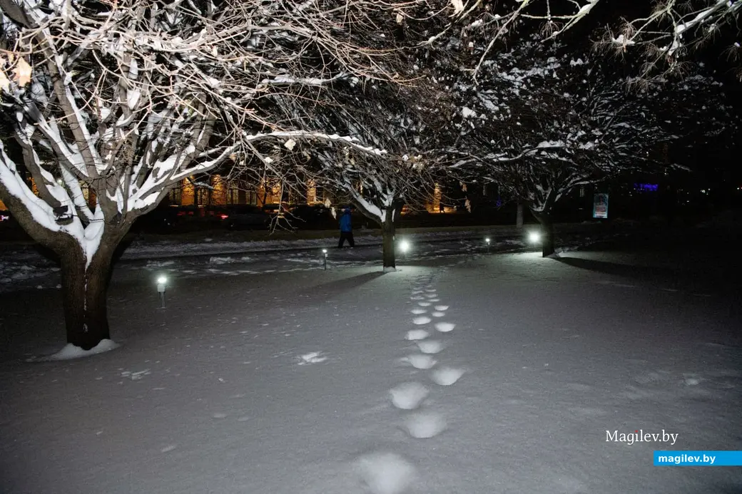 Декабрь 2023 г. Могилев. Вечерняя снежная сказка.