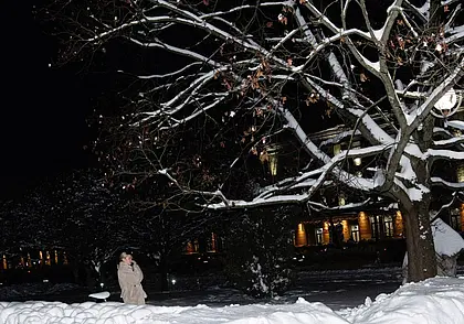 Сегодня ночью по Могилеву и району не будут работать интернет и телефон