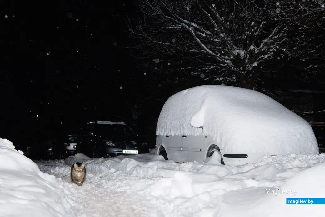 Декабрь 2023 г. Могилев. Вечерняя снежная сказка.