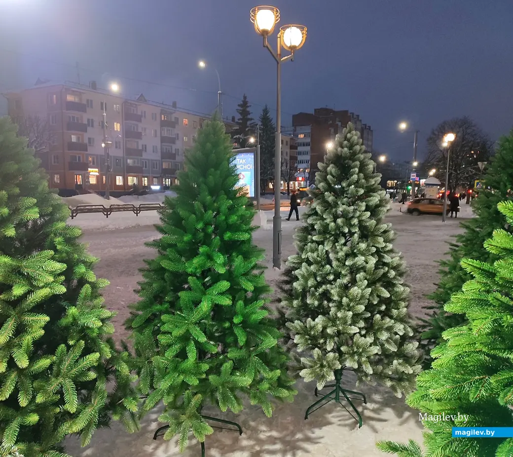 Что и почем можно купить на новогодней ярмарке? 6.12.2023 г.