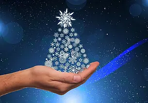 Новогодние елки по дешевке: предпраздничный «развод» интернет-мошенников в Могилеве